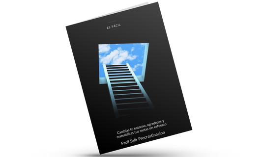 El Arte de la Productividad